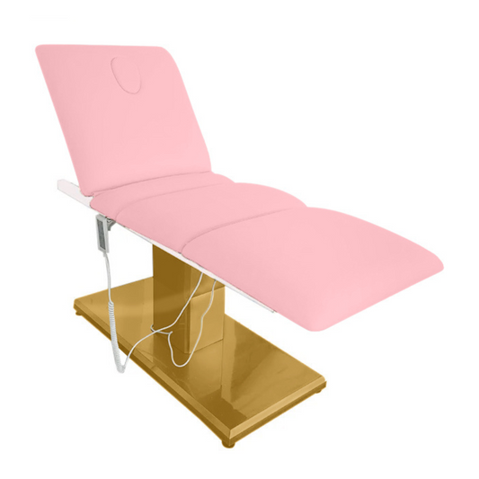 Electric Bed